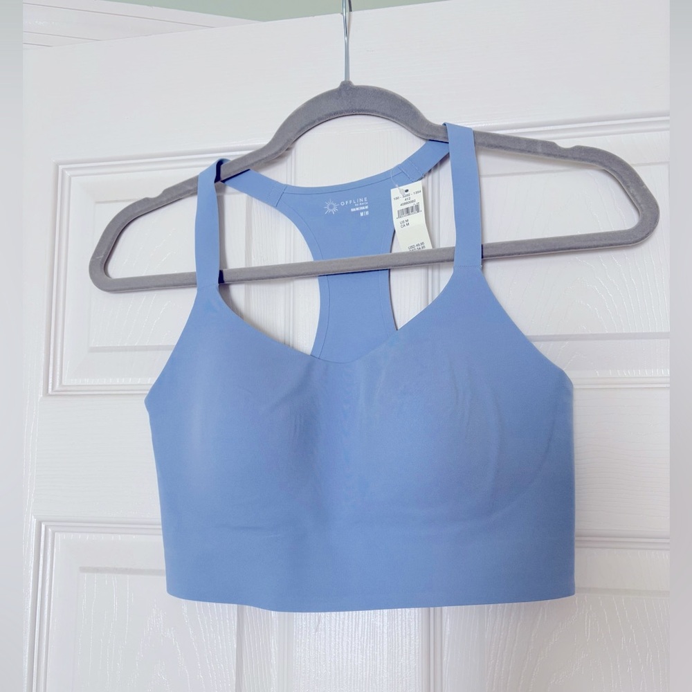 Aerie Blue Sports Bra